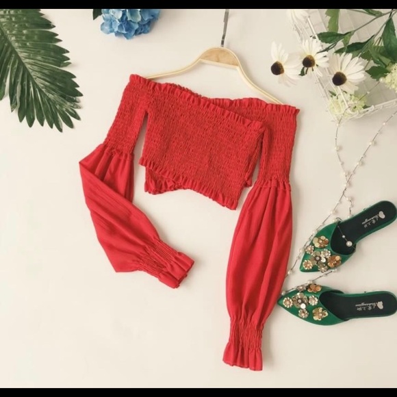 Plain Off Shoulder Cropped Long Sleeve Top - Picture 2 of 5